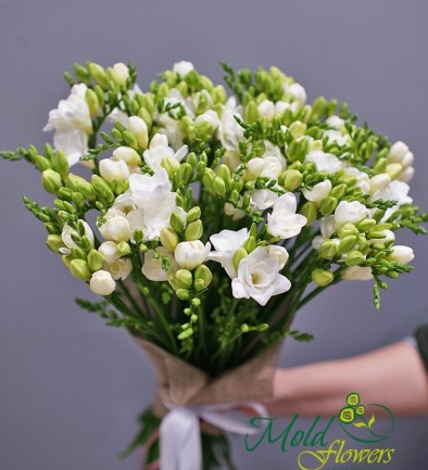Bouquet of white freesias photo 394x433